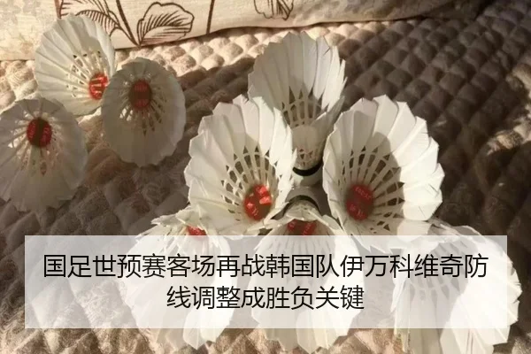 国足世预赛客场再战韩国队伊万科维奇防线调整成胜负关键